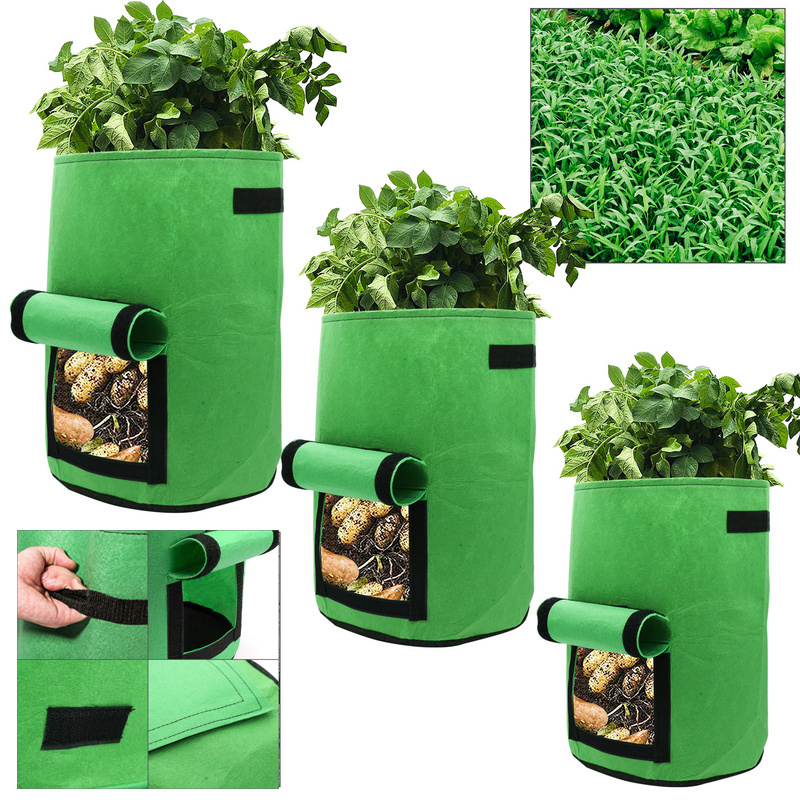 Randaco 25er Set Pflanzsäcke 26,5 L Aus Vlies Mit Sichtfenster & Griffen, Kartoffel-pflanztaschen Für Gemüse, Balkon & Garten