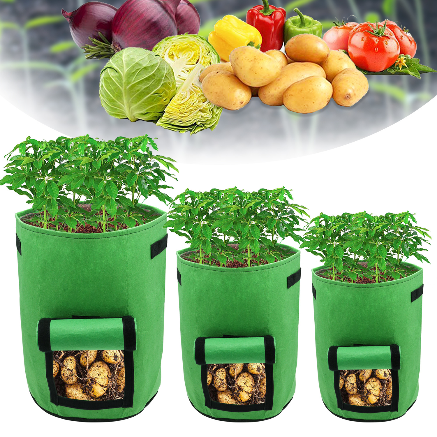 Randaco 30er Set Pflanzsäcke 26,5 L Aus Vlies Mit Sichtfenster & Griffen, Kartoffel-pflanztaschen Für Gemüse, Balkon & Garten