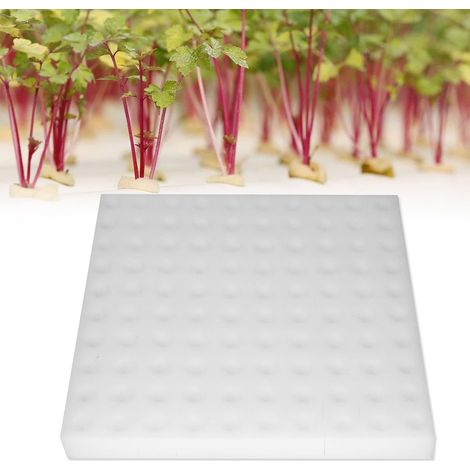 100 Stück Hydroponik-pflanzschwämme, Gartenwerkzeug, Quadratische Anzuchtschwämme Für Gewächshäuser, Schaumstoff-wachstumsschwämme, Hydroponik-schwamm, Schwämme Und Körbe