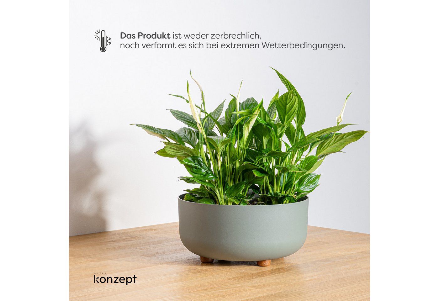 KONZEPT Blumentopf mit Füßen Ø 30 cm, Höhe 14 cm, für innen & außen, Kratzfest, Leicht, UV-beständig, Wetterfest, mit Füßen Bild 3