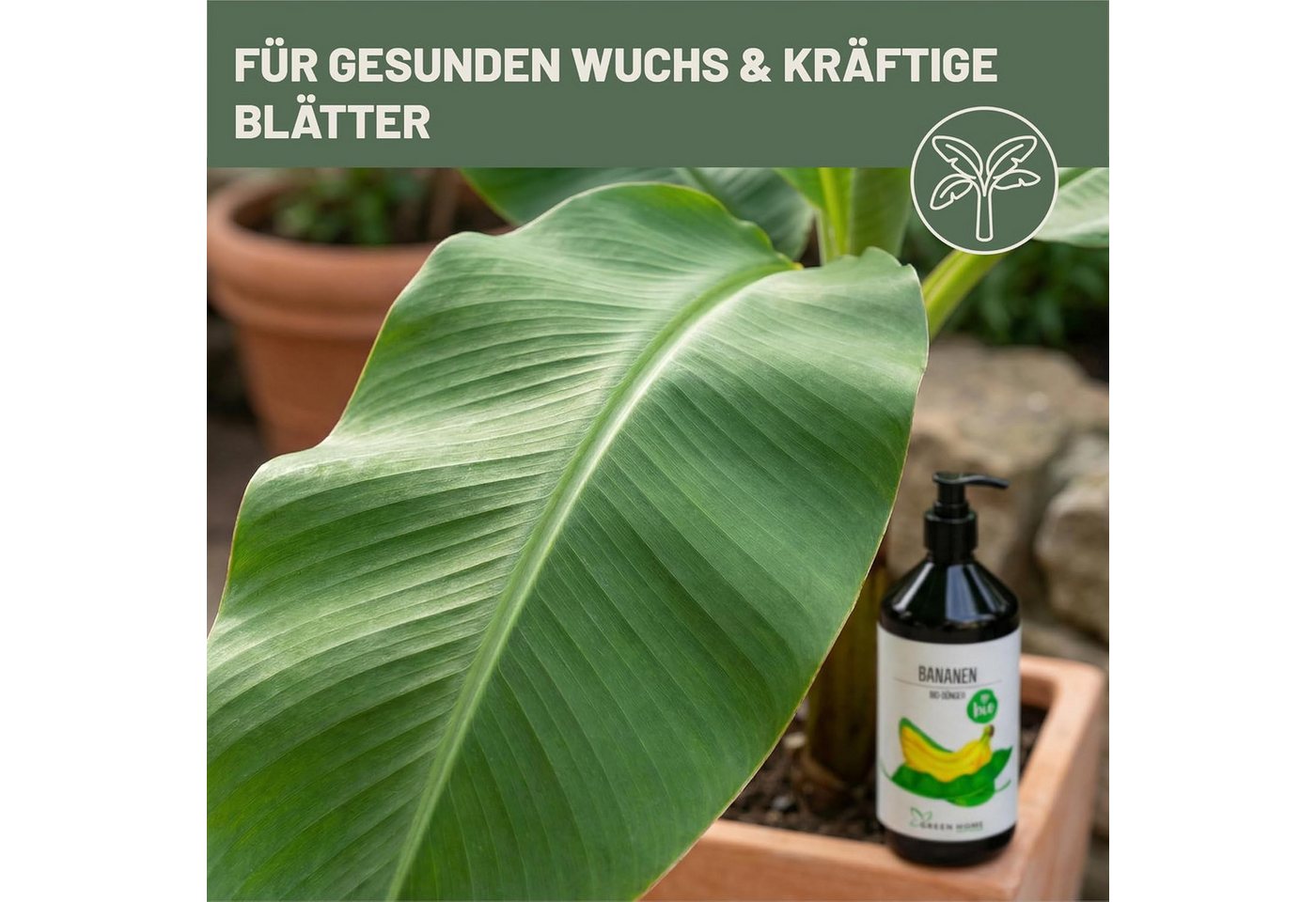 GREEN HOME LOVE NATURE Pflanzendünger Bio-Dünger flüssig NPK 3+2+6 für Bananen & Tropenpflanzen, Bananen, 100 % bio, organisch-mineralisch, extra Kalium, Dosierpumpe Bild 4