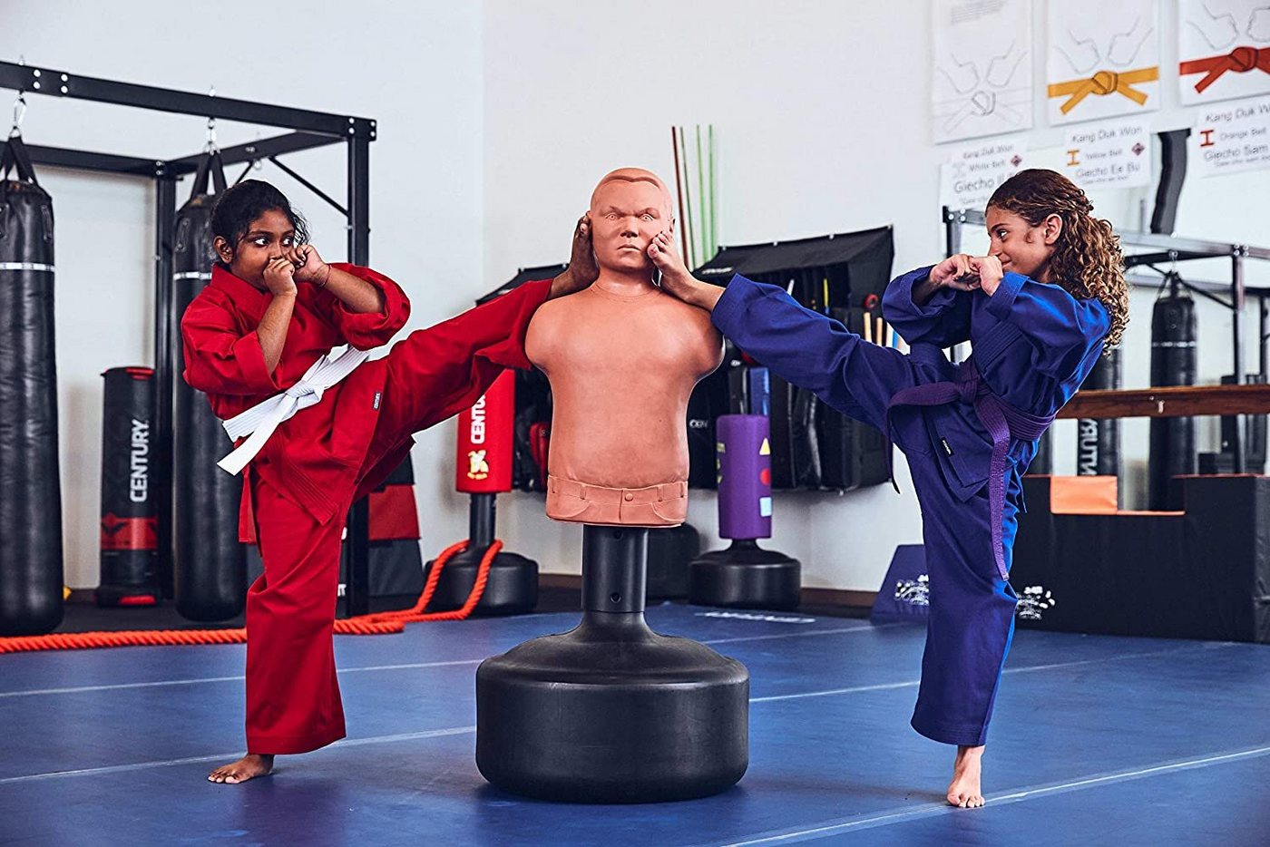 Century Martial Arts Standboxsack Bobby Bully Bild 4