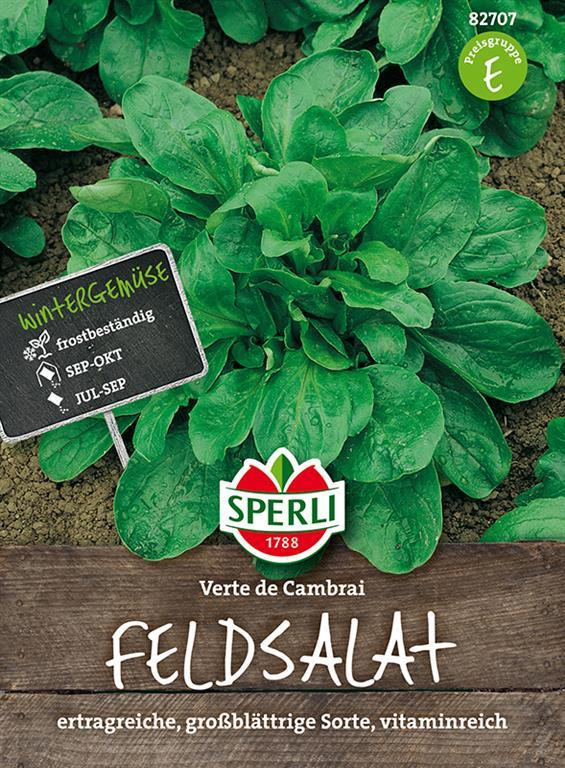 Feldsalat Verte De Cambrai / Jupiter / Dunkelgrüner Vollherziger 2 - Gemüsesamen - Sperli