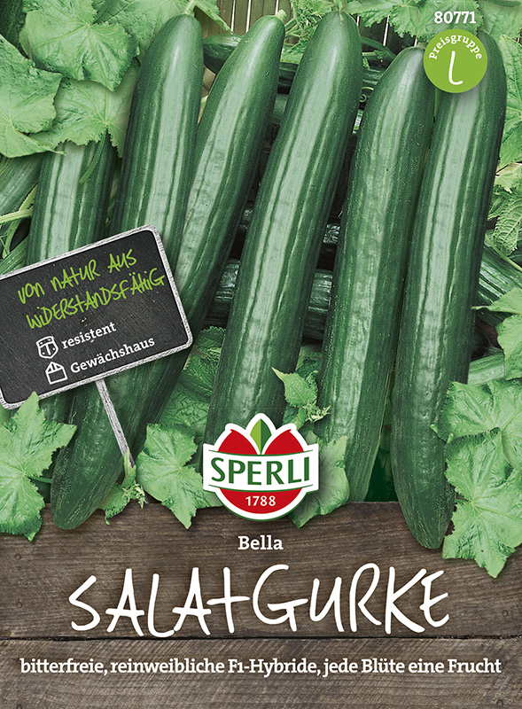 Salatgurken Bella F1 - Gemüsesamen - Sperli