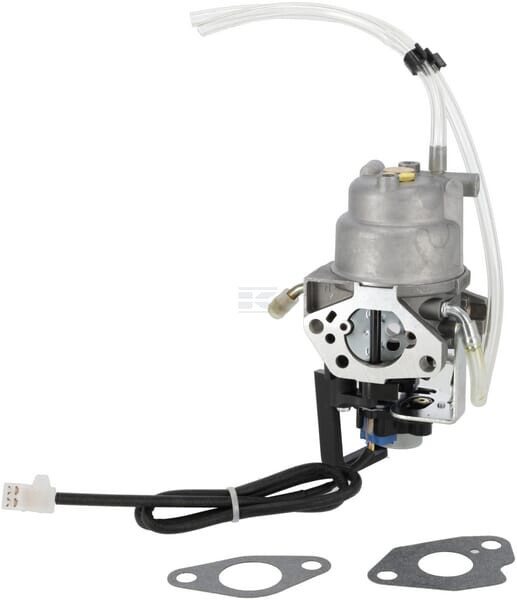 Vergaser Briggs & Stratton 596108