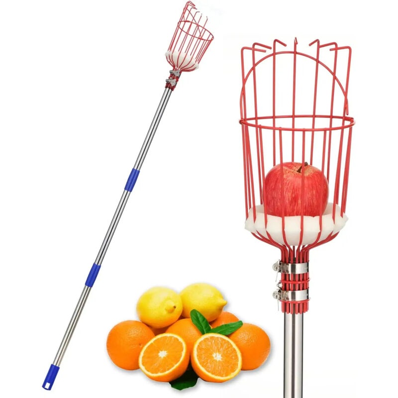 Obstpflücker Für Äpfel, Birnen Und Zitrusfrüchte – Abnehmbares 4-m-pflanzwerkzeug Mit Stoßfestem Korb, Leichtes Erntewerkzeug Aus Edelstahl Für Garten Und Obstplantage