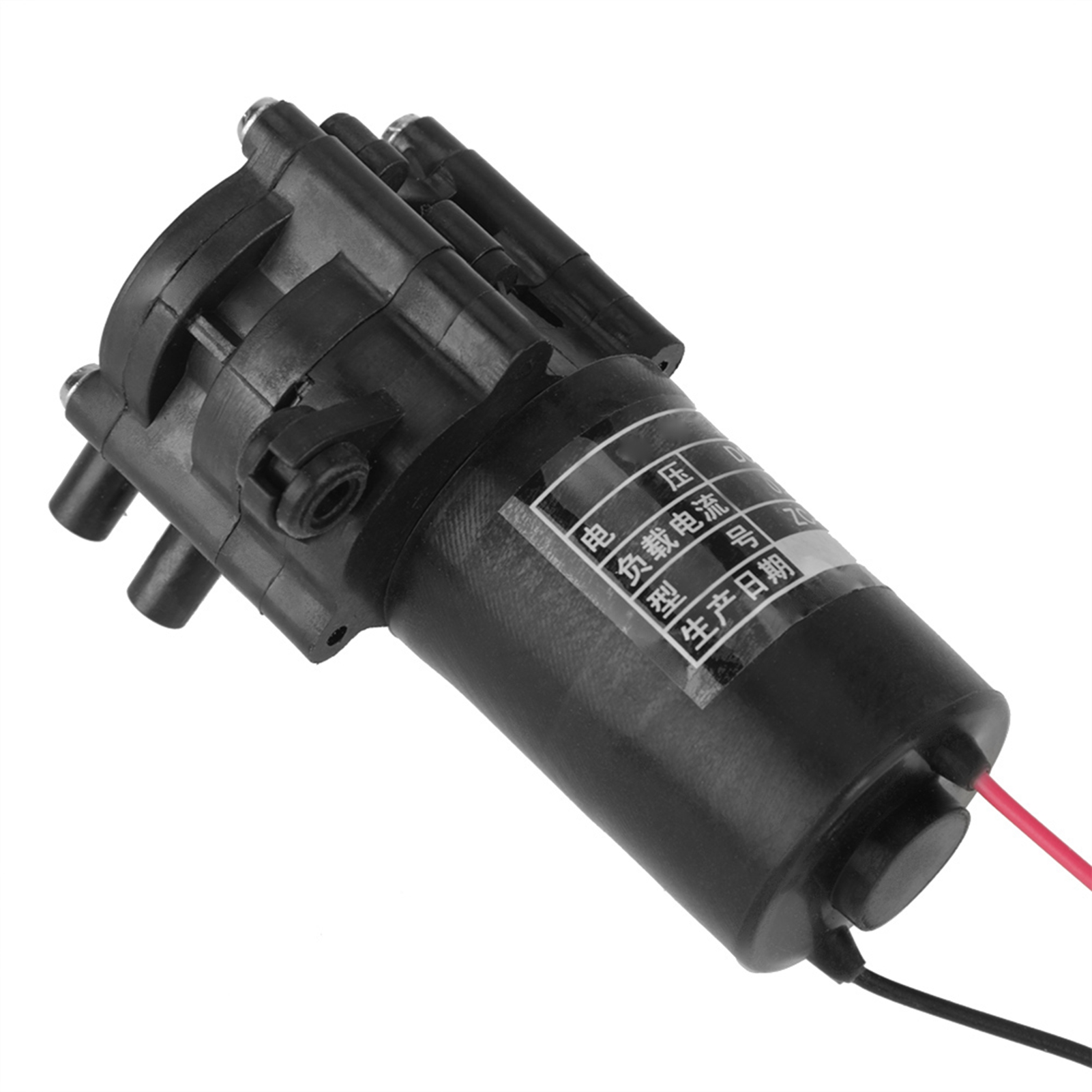 12v Selbstansaugende Und Korrosionsbeständige Dc-mini-zahnradwasserpumpe Zc-a250