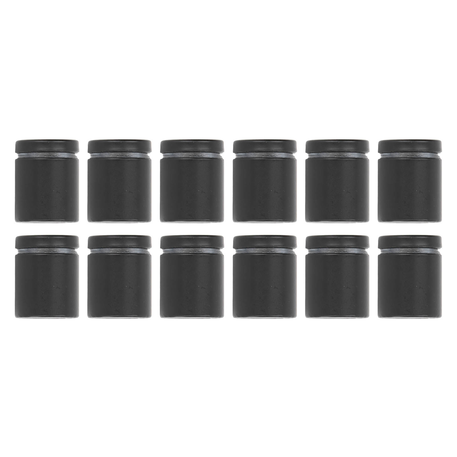 Set Mit 12 Werbeabstandshalterschrauben Aus Poliertem Edelstahl, Mattschwarze Ausführung, Für Galerien