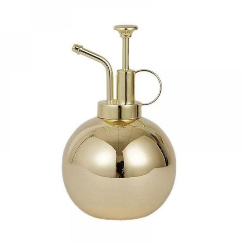 (oder) Kleine Gießkanne Für Zimmerpflanzen, 500-ml-gießkanne Aus Edelstahl, Vintage-handsprüher-zubehör