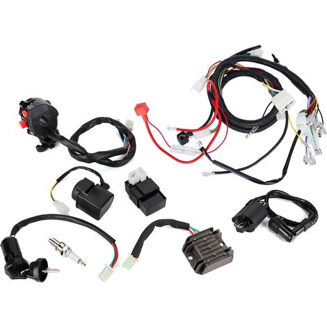 Cdi-baugruppe Als Zubehör Für Den Elektrischen Kabelbaum Von 200-300cc Quads/atvs.