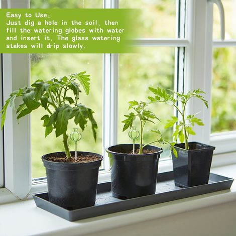 Selbstbewässernde Glas-pflanzkugeln Für Zimmer- Und Gartenpflanzen (1)
