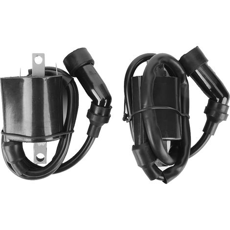 2-teilige Zündspulenbaugruppe Für Yamaha Xvs1100 V-star 1999-2009 5el-82320-00-00