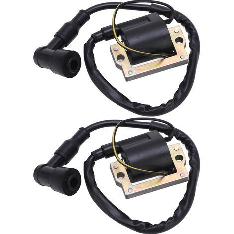 Paar Emissionsarme, Kraftstoffsparende Und Hitzebeständige Zündspulen Für Lc50 Rd60 Yz60 Gt80 Dt100 Dt175 Dt250
