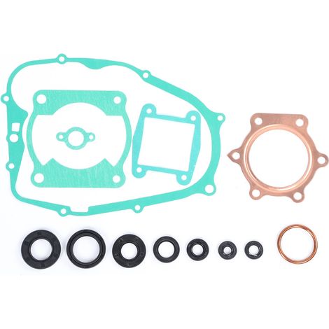 Kompletter Motordichtungssatz Mit Öldichtungen Für Yamaha Blaster 200 Yfs200 1988-2006
