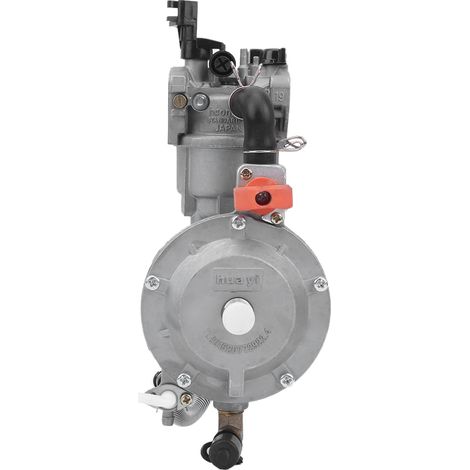 Vergaser Für Erdgas-/benzingenerator 168f/170f Rasenmäher/benzingerät P19-015