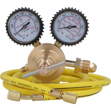 Cga580 Stickstoffregler, 0-600 Psi Eingang, 1/4 Zoll Ausgang, Außengewindeanschluss, Messing-gasanschluss Mit 60 Schläuchen