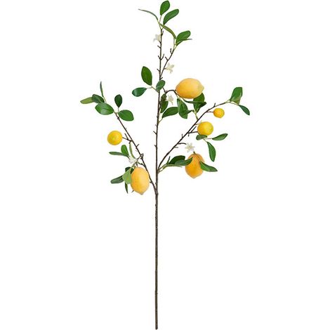Künstlicher Zitronenzweig, Künstliche Zitronenfrucht Mit Mehreren Köpfen, Künstliche Pflanzen Und Grünpflanzen, Künstlicher Obstbaumzweig, Kunststoffschaumstoff