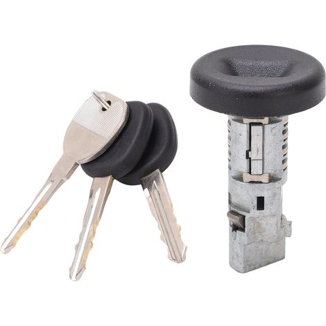 Zündschlosszylinder 15794826 Schließzylinder-set Mit Ersatzschlüssel Für Hummer H2 2008-2009