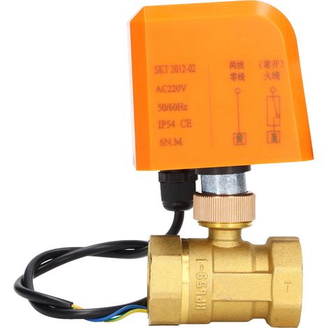 Motorisiertes 2-draht-kugelventil, Normalerweise Offen, Dn25, Synchronmotor Aus Messing Und Abs, Ac220v