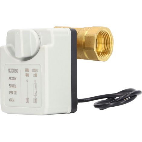 2-wege-elektro-kugelhahn, Normalerweise Offen, Manuell/automatisch, Integriert, Dn25, Ac220v