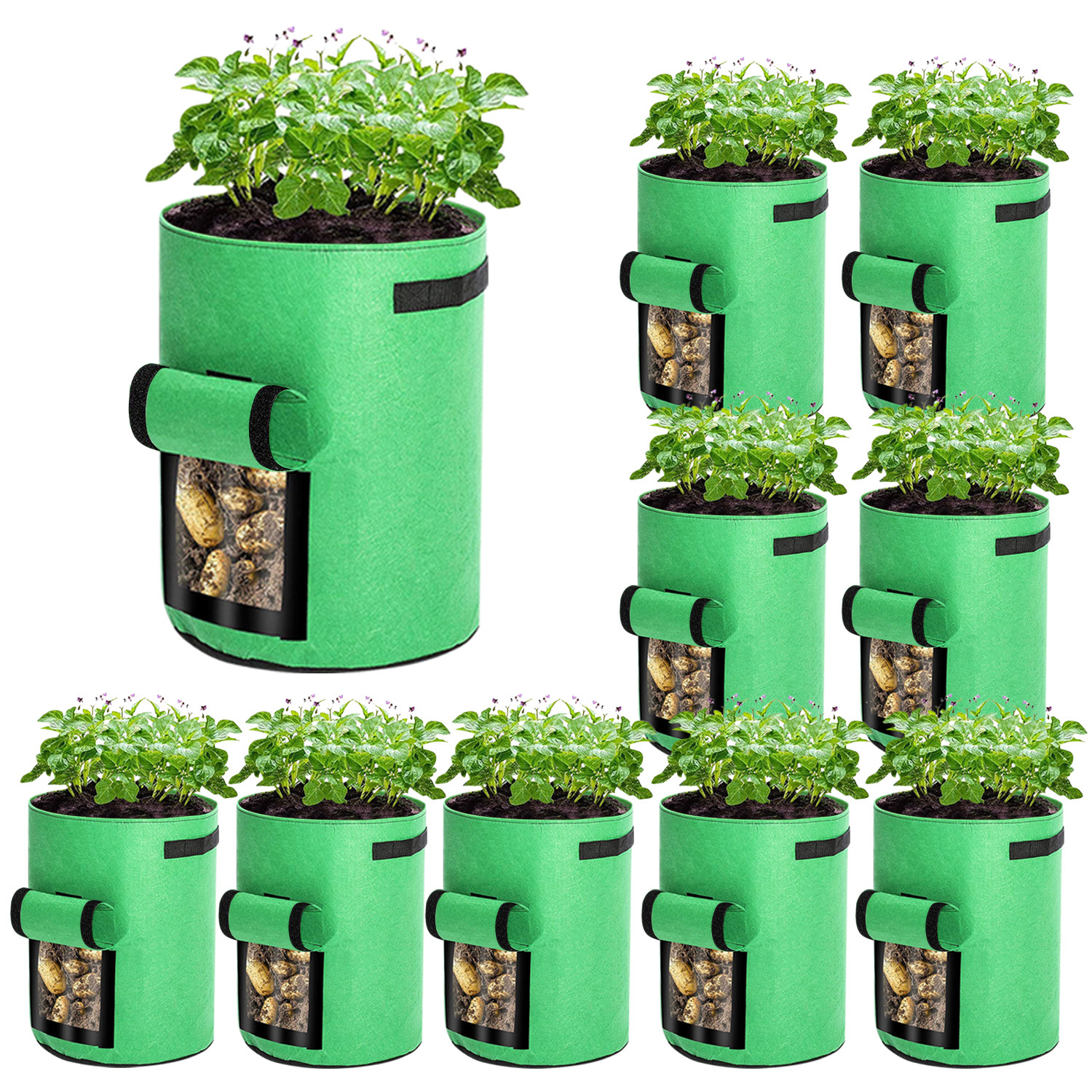 Tolletour 10er Set Pflanzsäcke 26,5 L Aus Vlies Mit Sichtfenster & Griffen, Kartoffel-pflanztaschen Für Gemüse, Balkon & Garten