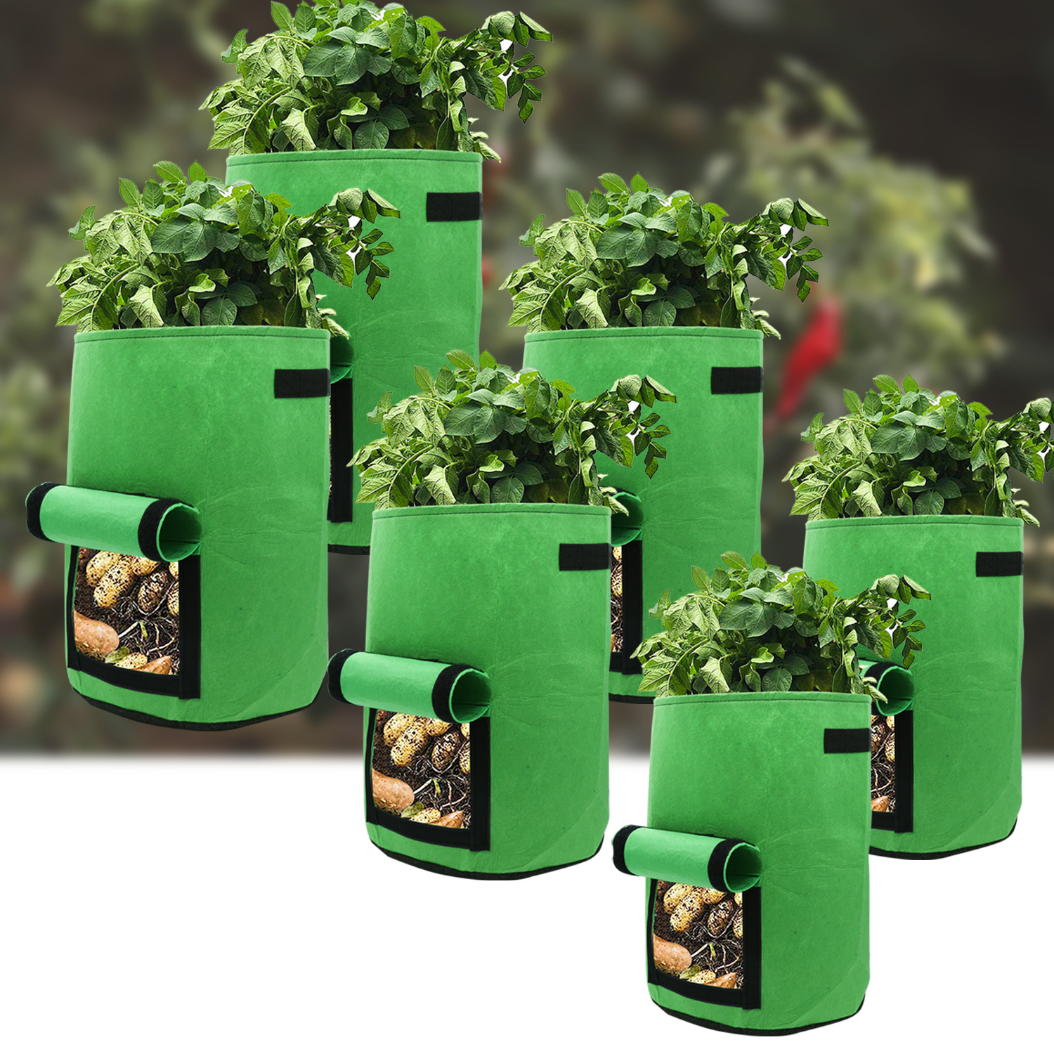 Tolletour 25er Set Pflanzsäcke 26,5 L Aus Vlies Mit Sichtfenster & Griffen, Kartoffel-pflanztaschen Für Gemüse, Balkon & Garten