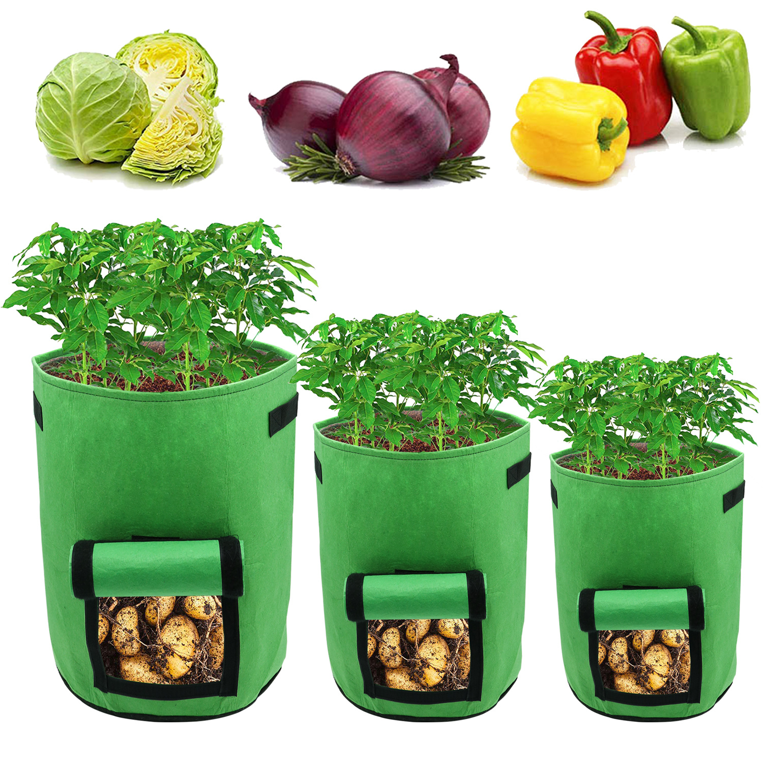 Tolletour 30er Set Pflanzsäcke 26,5 L Aus Vlies Mit Sichtfenster & Griffen, Kartoffel-pflanztaschen Für Gemüse, Balkon & Garten
