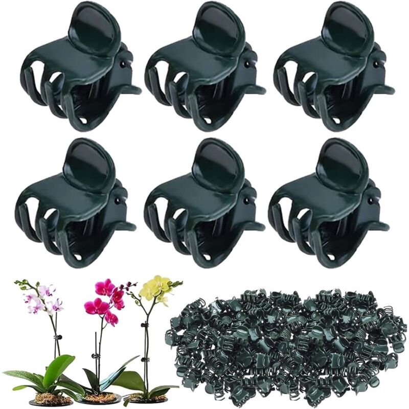 200 Stück – Pflanzenstützen Für Kletterpflanzen, Gartenzubehör Aus Kunststoff. Stängel Für Orchideen Und Kletterpflanzen. Einfach Zu Verwenden Und Leicht. Geeignet Für Tomaten Etc.
