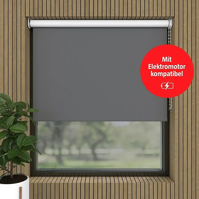 Verdunkelungsrollo (B x H: 220 x 190 cm, Grau)