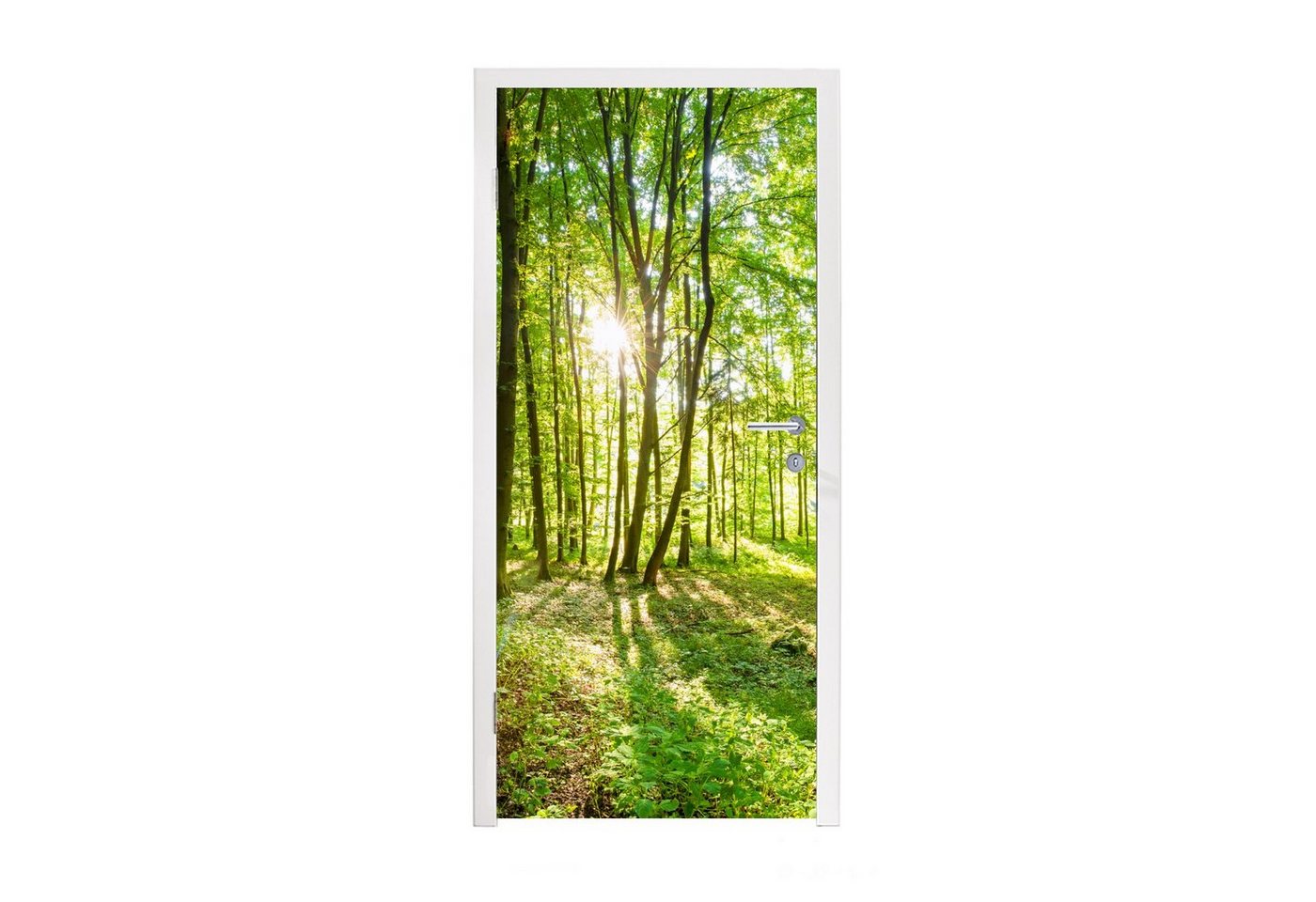 MuchoWow Türtapete Natur - Bäume - Wald - Grün - Sonnenlicht, Matt, bedruckt, (1 St), Selbstklebende Tapete, Folie für Möbel, 75x205 cm Bild 2