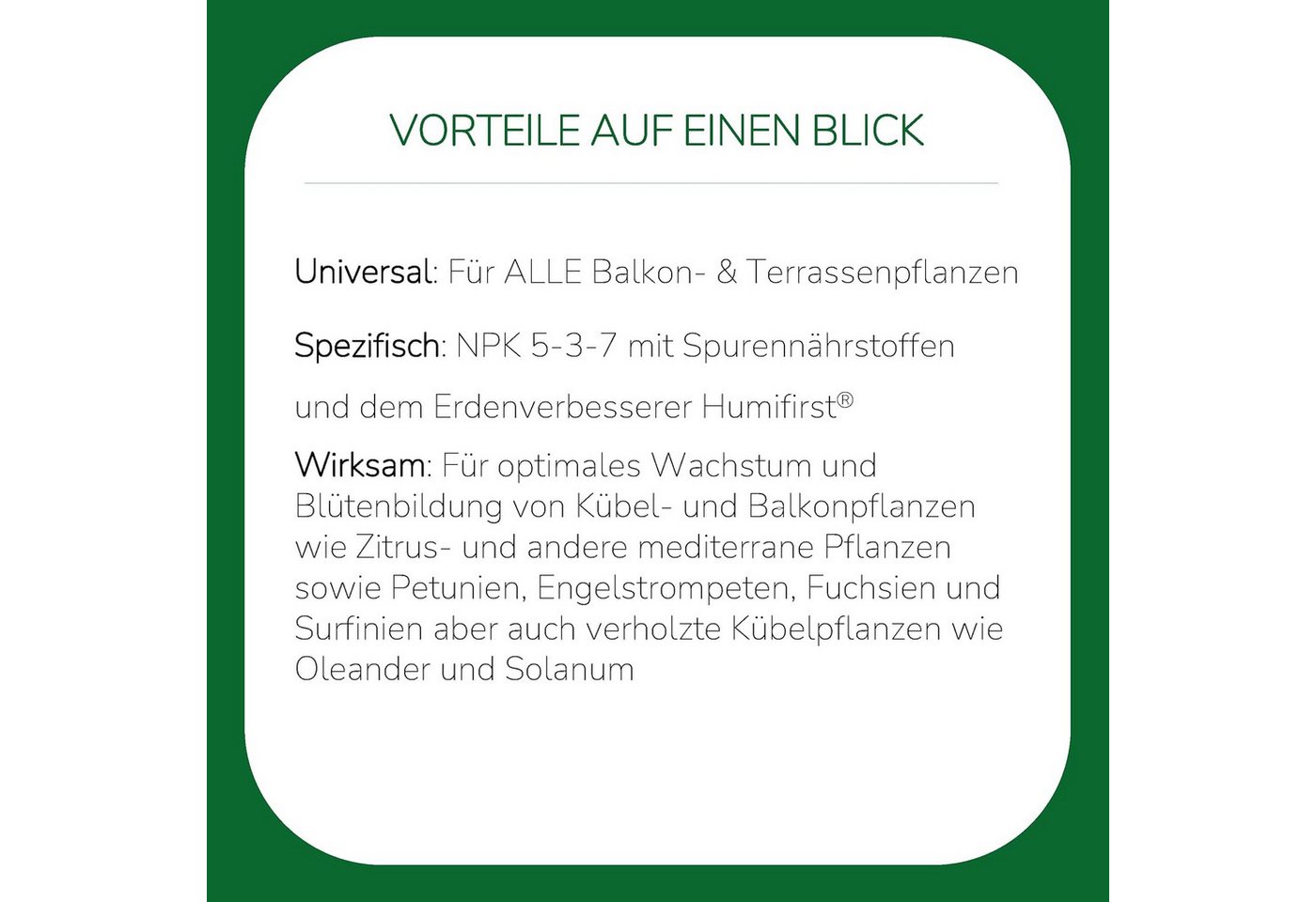 Substral Pflanzenstärkungsmittel Substral Balkonpflanzen Nahrung Premium Flüssigdünger, 2 L Bild 4
