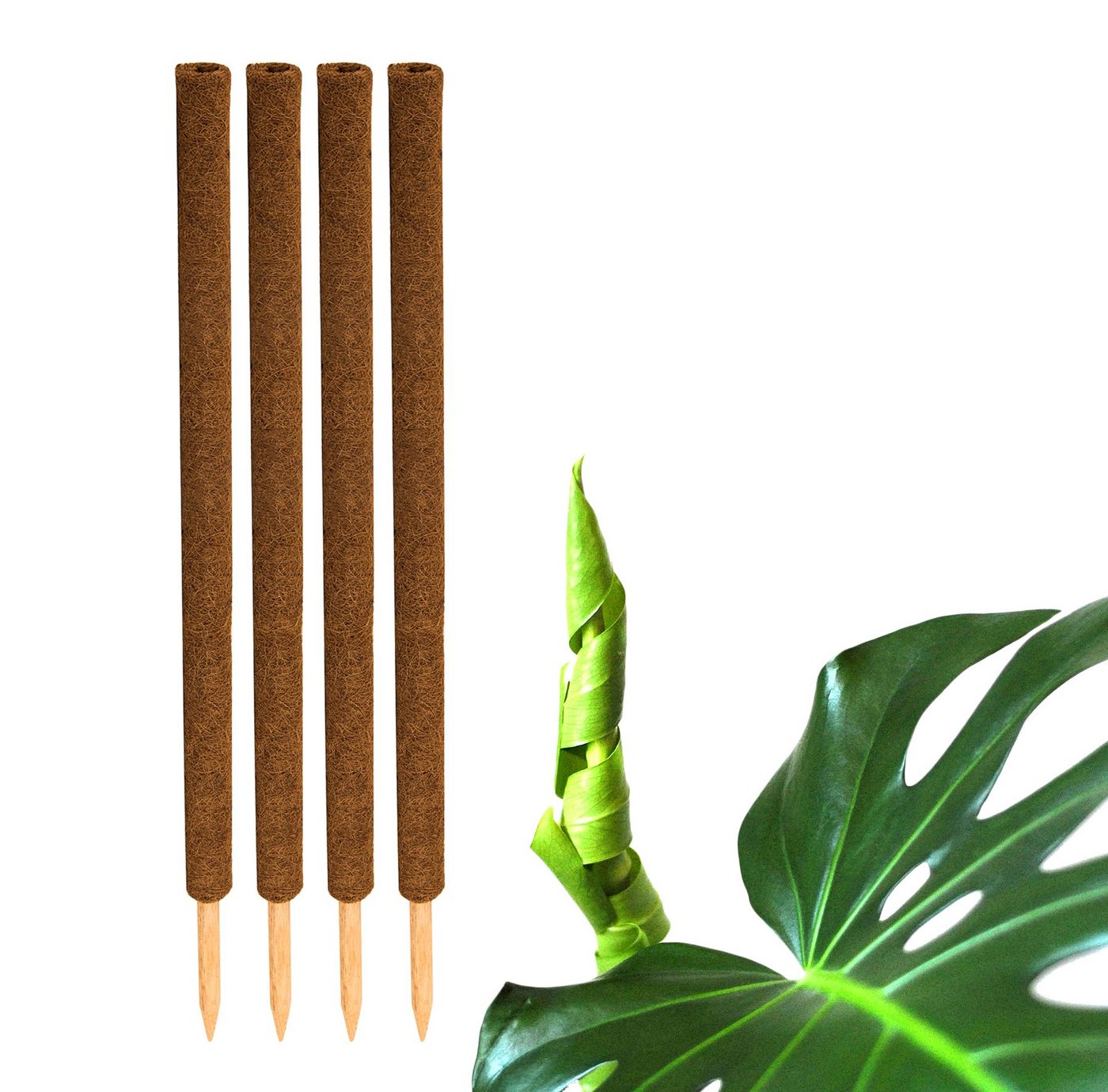 BigDean Ranksäule Kokos Pflanzstab 110 cm Rankstab Rankhilfe Blumenstab Packung, 4 St., 4 Stäbe, Rankhilfe, Monstera Rankhilfe, Pflanzstab aus Kokos, Moosstab