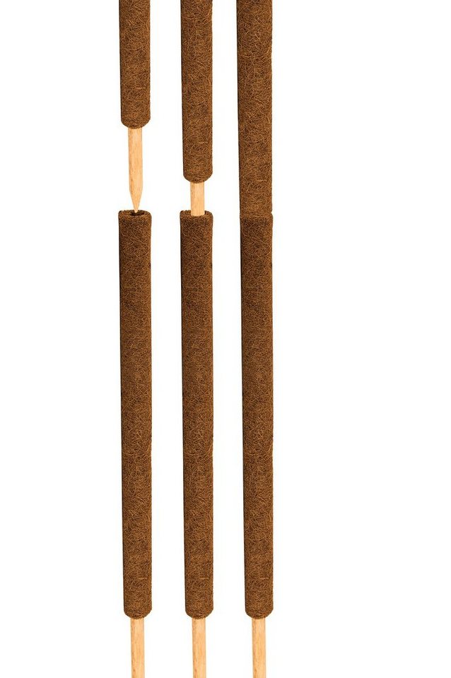 BigDean Ranksäule Kokos Pflanzstab 110 cm Rankstab Rankhilfe Blumenstab Packung, 4 St., 4 Stäbe, Rankhilfe, Monstera Rankhilfe, Pflanzstab aus Kokos, Moosstab Bild 3