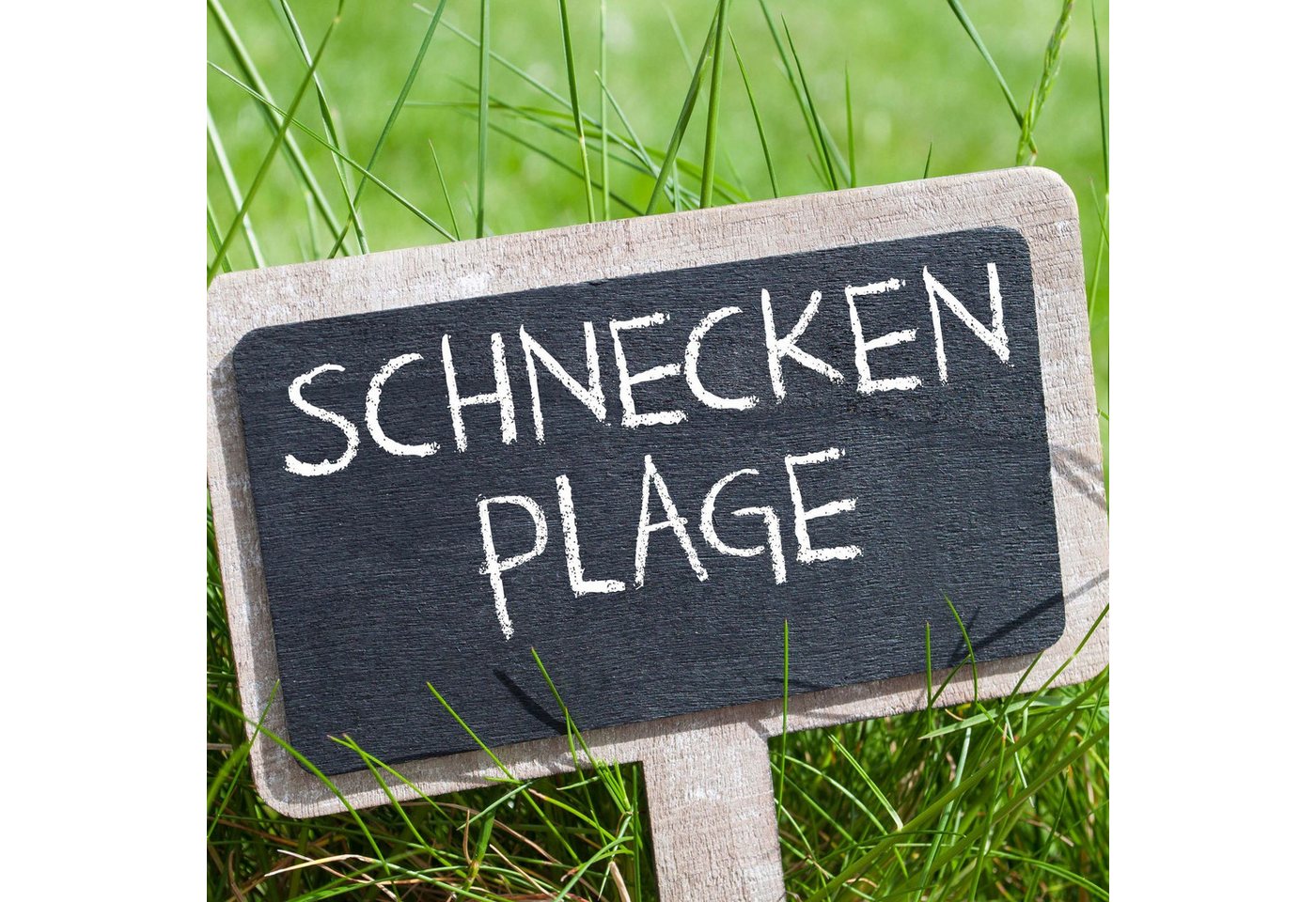 BURI Schneckenkante Schneckengel gegen Schnecken 1 L Nacktschnecken Schädlingsbekämpfung
