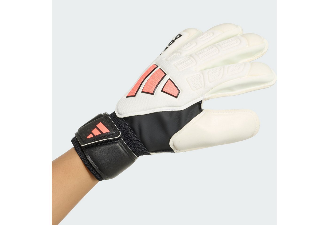 adidas Performance Torwarthandschuhe (1-St)