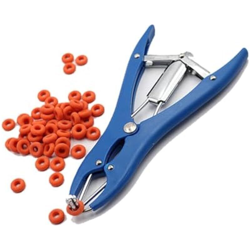 Pince À Castration Élastique En Acier Inoxydable Pour Bétail Porc Et Mouton Avec 100 Anneaux En Caoutchouc Bleus 21,5 Cm