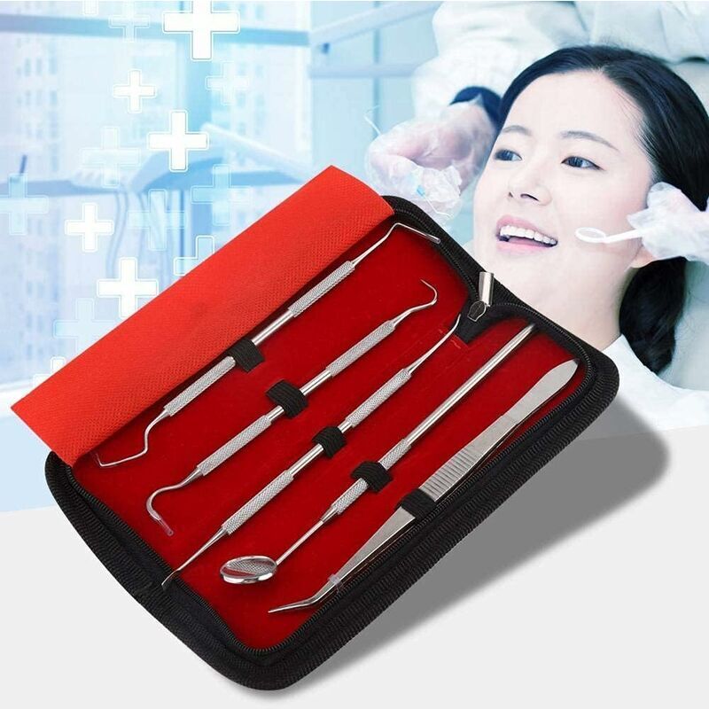 Kit Dentaire Professionnel 5 Pièces En Acier Inoxydable, Outils D'Hygiène Buccale Pour Adultes, Enfants Et Animaux