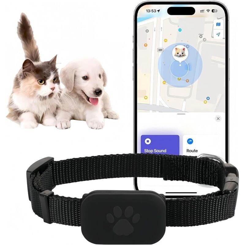Collier Gps Chat Et Chien, Traceur Animaux Sans Abonnement, Suivi En Temps Réel Compatible Ios Android Pour Petit Animal De Compagnie