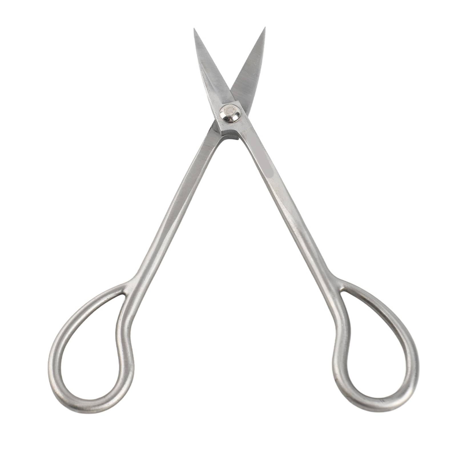 Bonsaischere Aus Edelstahl, Bonsaischere Mit Langem 185 Mm Griff