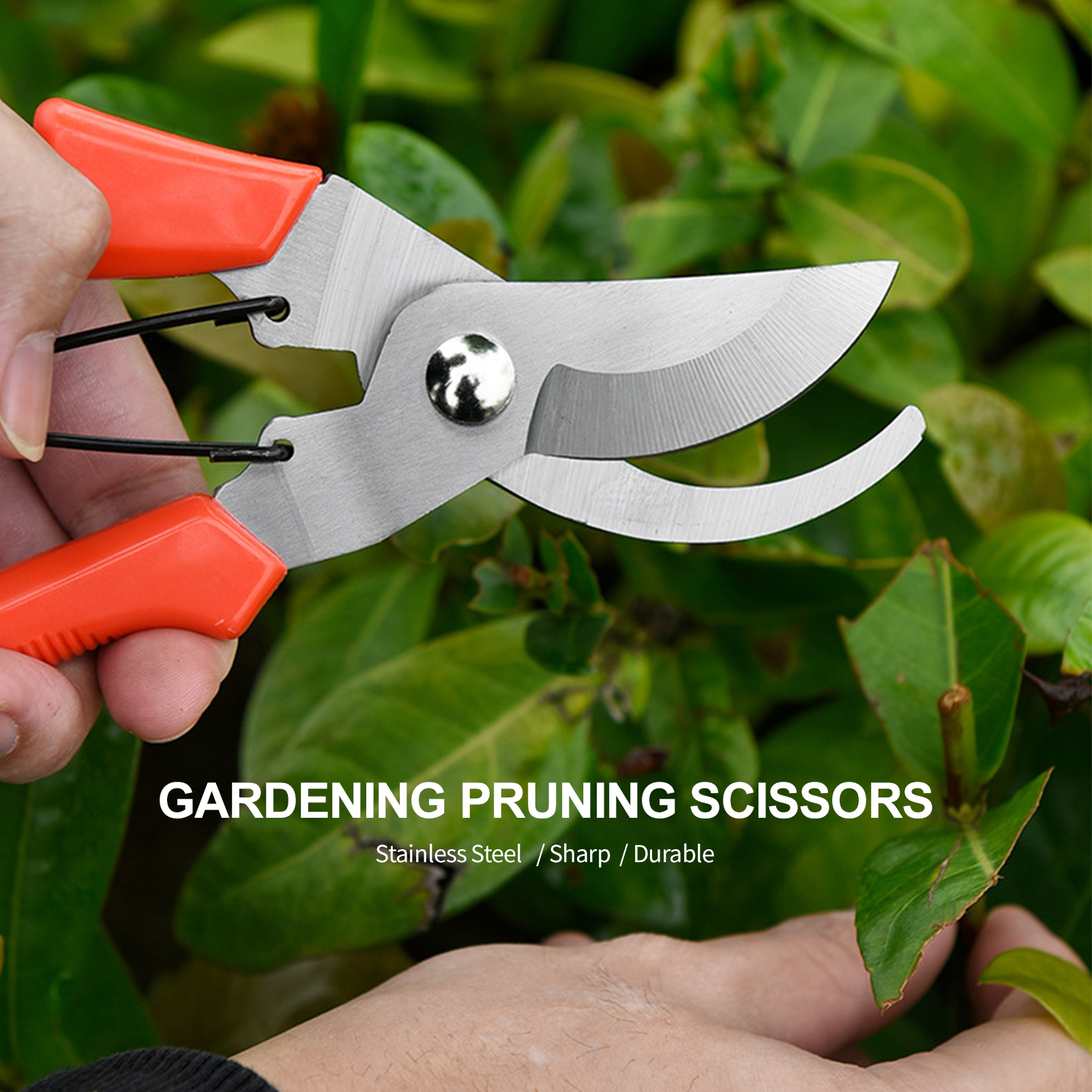Gartenschere, Professionelle Gartenschere, Gartenschere, Klinge Aus Edelstahl, Bonsai-schneider, Rutschfeste Griffe, Gartenwerkzeug-set Für Pflanzen, Rosen, Blumen, Obstbäume Und Weihnachtsbäume