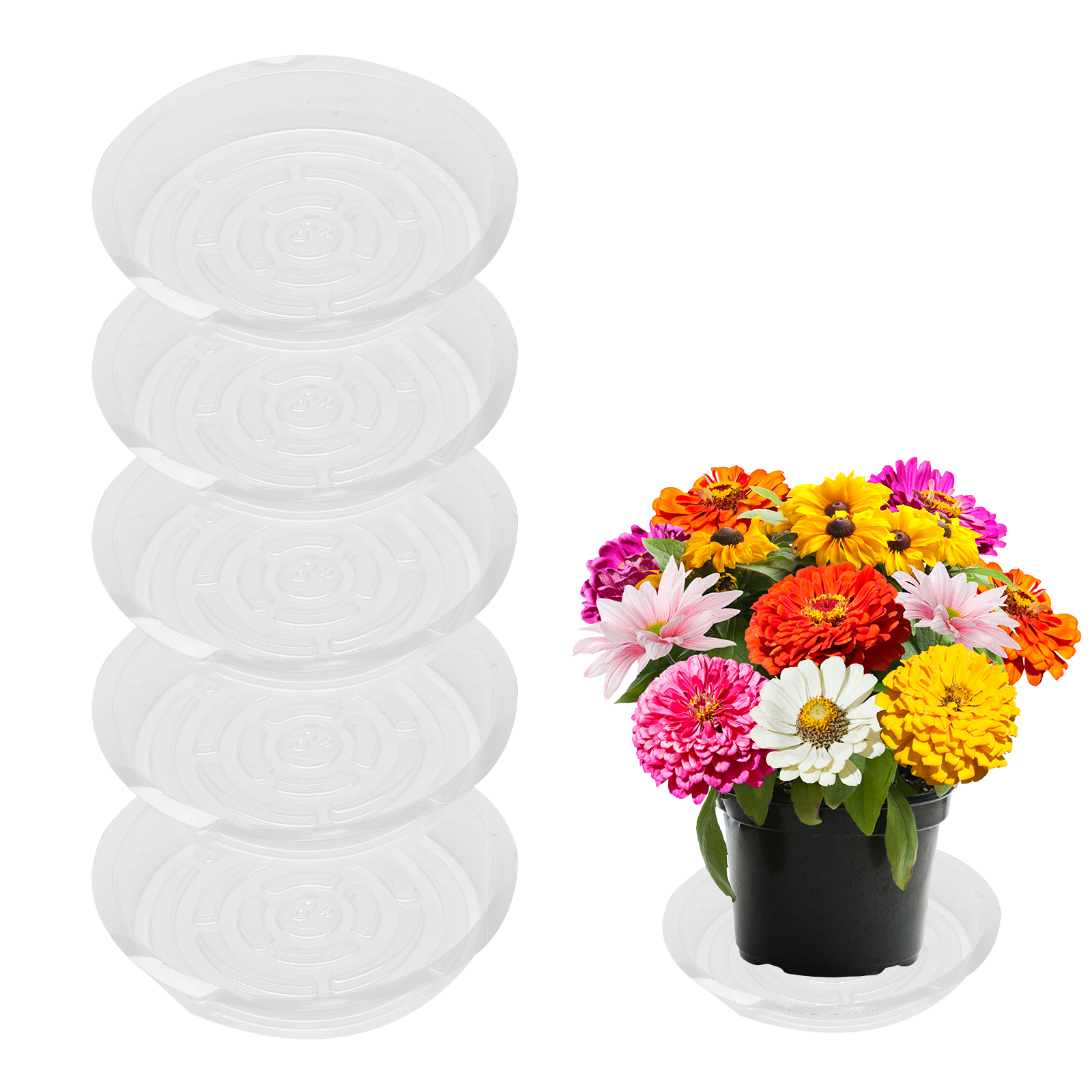 Transparente Untersetzer Für Zimmer- Und Gartenpflanzen (5er-set, 20,3 Cm X 3,5 Cm) – Material: Pet