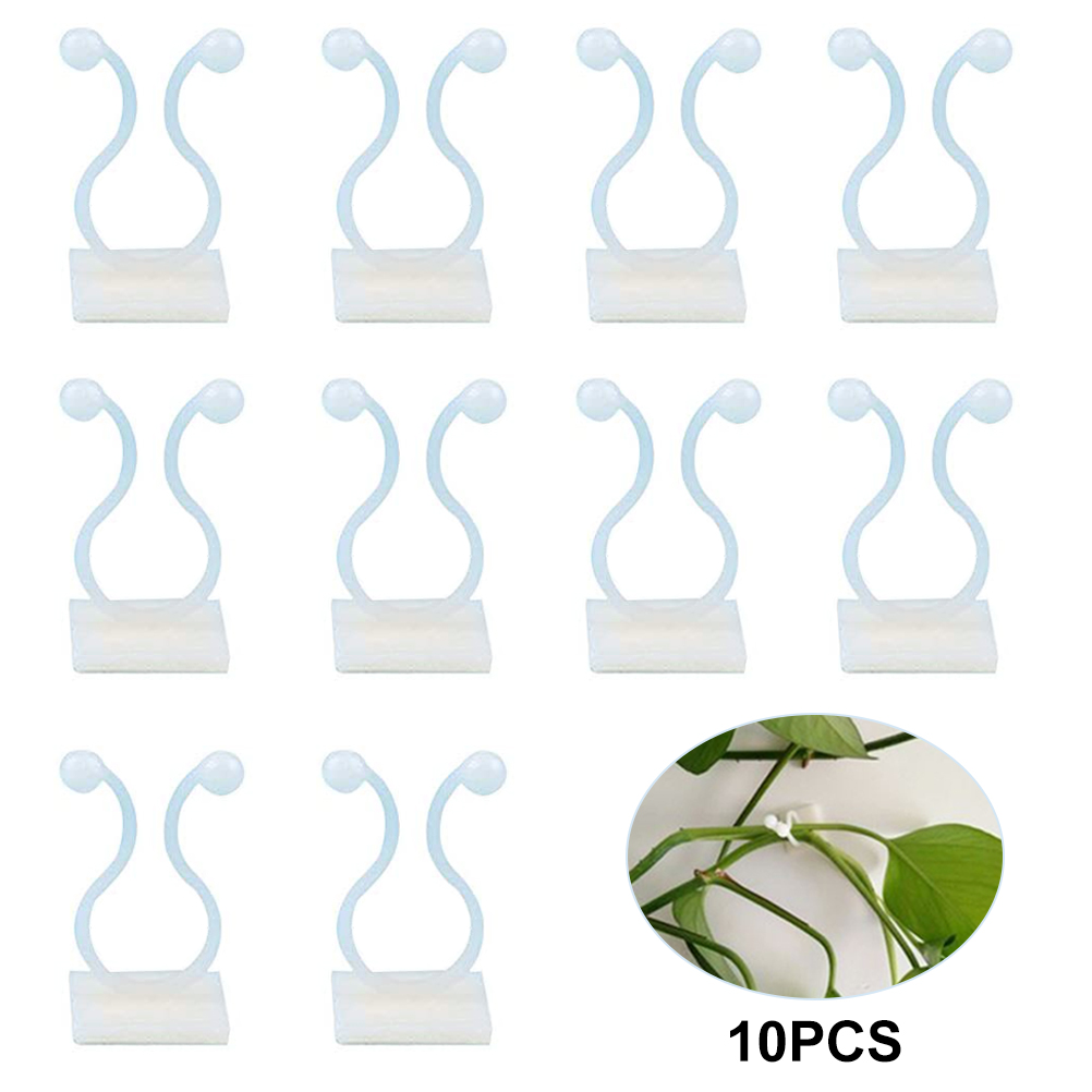 Kletterpflanzenclips, Klebeclips Für An Der Wand Befestigte Kletterpflanzen, Feste Halterung