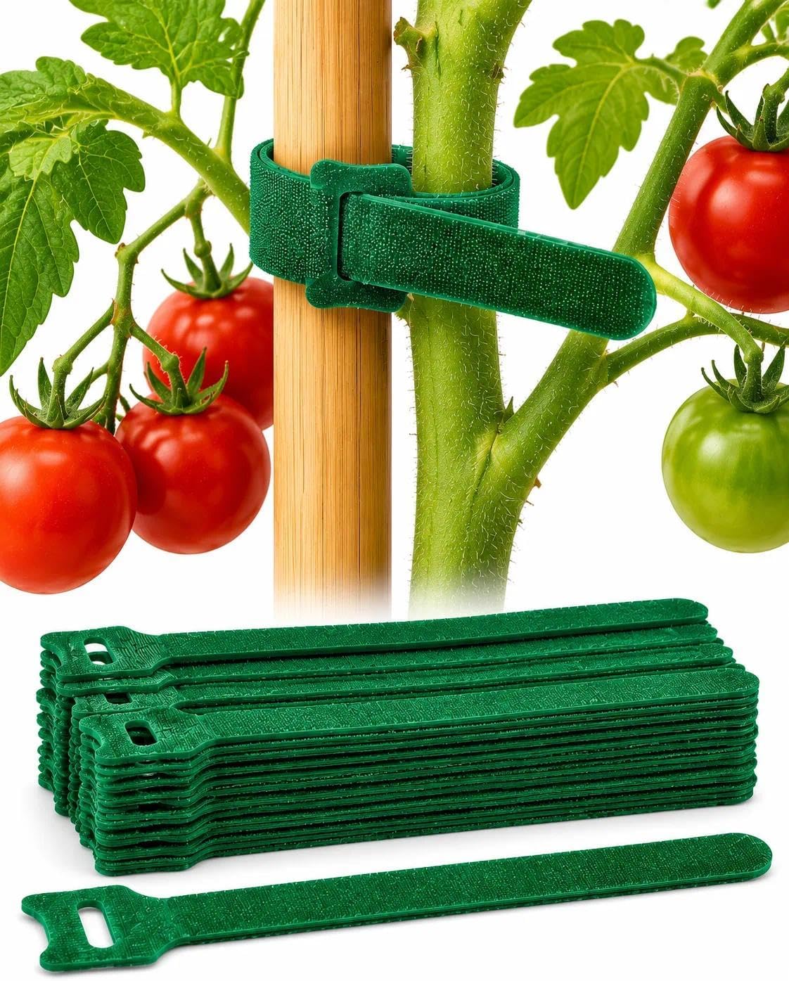 Packung Mit 100 Bändern Zum Anbinden Von Gartenpflanzen Mit Haken Und Schlaufen – Wiederverwendbare Und Verstellbare Nylonbänder