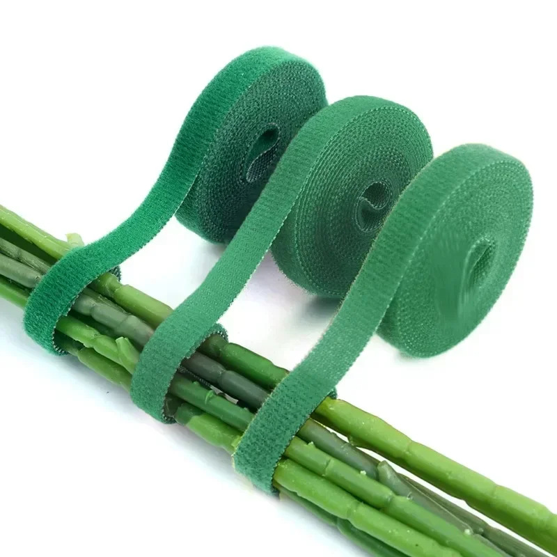 3 Rollen Nylon-klebeband Für Pflanzen, 200 Cm Lang, Selbstklebend, Zum Befestigen Von Pflanzen, Grün.