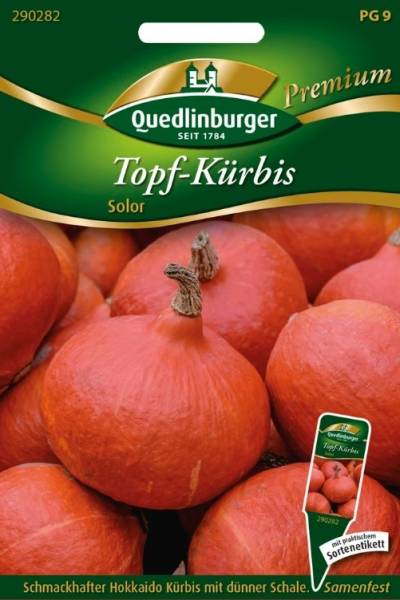 Quedlinburger Topf-kürbis Solor - Gemüsesamen