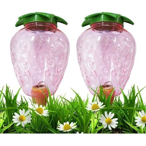 2 Stück Kegelförmige Gießflaschen 500 Ml, Tonkugeln Für Zimmerpflanzen, Automatische Bewässerungssysteme Für Pflanztöpfe, Wasserspender Für Pflanzen, Bewässerungszeiten, Transparente Kugeln (erdbeere)