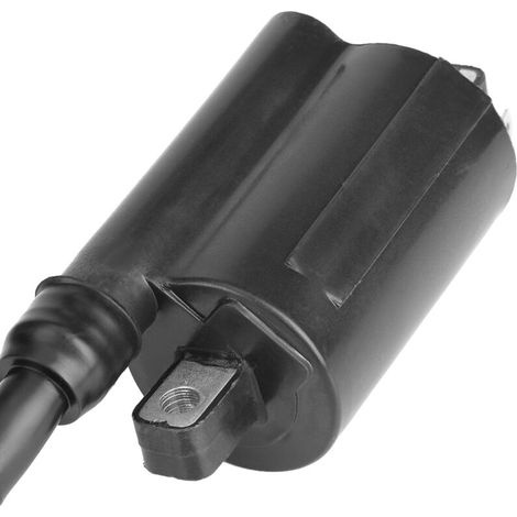 Denso Zündspule 129700. Zündspule Passend Für Denso Zündspulen 2653 Gas 260265285320425445455 F725 F911. Denso Zündspule 129700. Denso Zündspule 129700 + Zündspule.