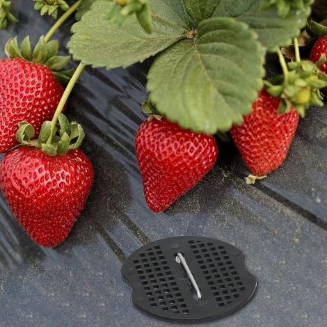 40-teiliges Set Gartenheringe, Planenheringe Mit 40 Unterlegscheiben, Befestigungsheringe Für Planen, Unkrautvlies, Bodenplanen, Zelte, 15 X 4 Cm