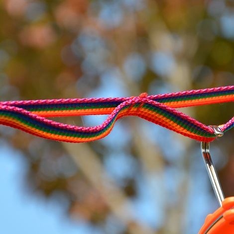 Buntes Zeltband, Outdoor-zubehör, Hängelampe, Camping-wäscheleine, Geflochtener Gürtel, Multifunktionales Band