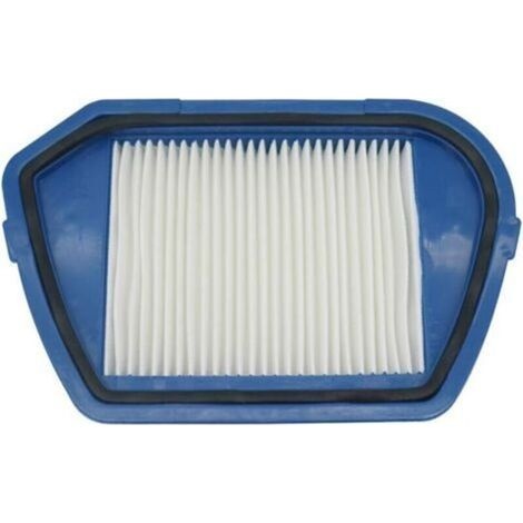 2-teiliges Staubsauger-zubehörset Mit Hepa-staubfiltern Für Ro53 Compacteo Ergo Cyclone Zr005501 Und Zyklon Zr005501